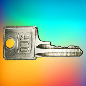 Dom Keys 1D1-1D114 | SAME DAY DISPATCH | LockDoctor.Biz