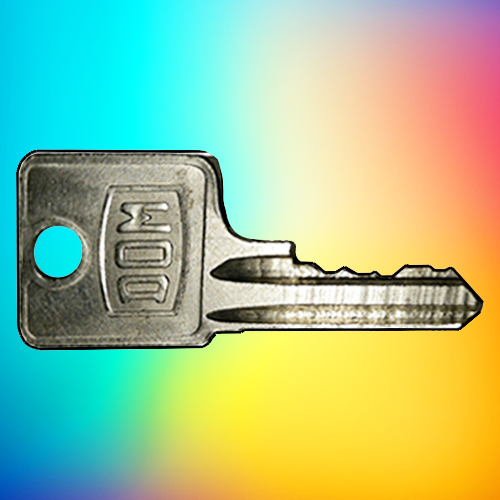 Dom Keys 2C1-2C600 | SAME DAY DISPATCH | LockDoctor.Biz