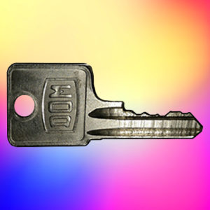 Dom Keys 2D1-2D204 | SAME DAY DISPATCH | LockDoctor.Biz