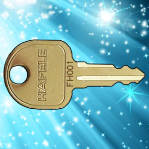 Ronis HAFELE Keys FH001-FH400 | NEXT DAY | LockDoctor.Biz