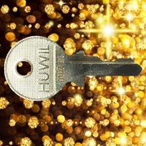 Huwil Keys LM8000-LM8147 | NEXT DAY | LockDoctor.Biz