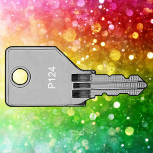 PUNDRA Cityspace Keys P0001-P4000 | LockDoctor.Biz