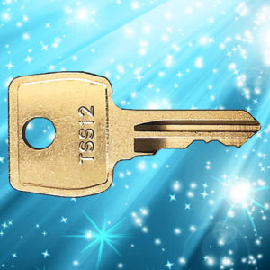Strebor TSS12 Window Key | NEXT DAY | LockDoctor.Biz