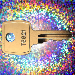 Strebor TSS21 Window Key | NEXT DAY | LockDoctor.Biz