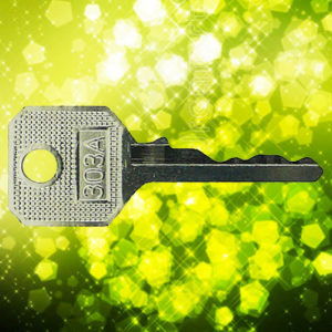 WMS Window Key 303A | NEXT DAY | LockDoctor.Biz