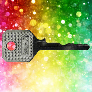 WMS Window Key 303C | NEXT DAY | LockDoctor.Biz