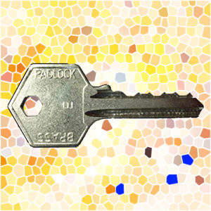 SEC Padlock Key E | NEXT DAY | LockDoctor.Biz