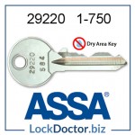 29220 ASSA range 1 to 750 replacement Dry Area key
