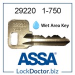 29220 ASSA range 1 to 750 replacement Wet Area key