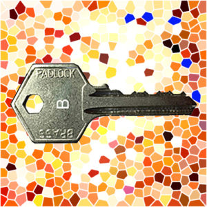 ASEC Padlock Key B | NEXT DAY | LockDoctor.Biz