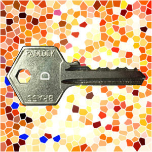 ASEC Padlock Key C | NEXT DAY | LockDoctor.Biz