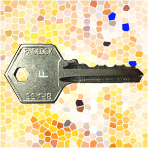 ASEC Padlock Key F | NEXT DAY | LockDoctor.Biz